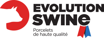 logo evolution swine